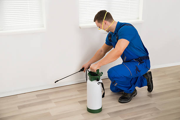 Norcross Pest Control Eradicating Pests, Restoring Comfort