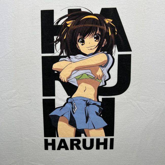 Inside the World of Haruhi Suzumiya Merch: Authentic Finds