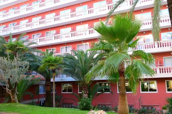 What Guests Are Saying About Westgate Resorts in 2025